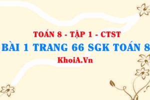 Bài 1 trang 66 SGK Toán 8 Tập 1 Chân trời sáng tạo